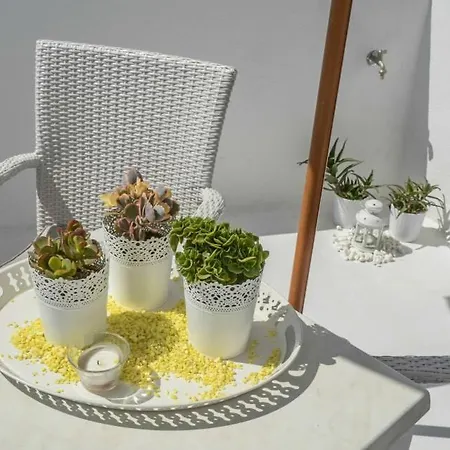 Apartment Helen Naxos City